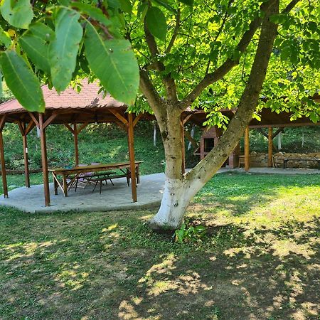 Salas U Bregu In Cheile Carasului Crasova 外观 照片