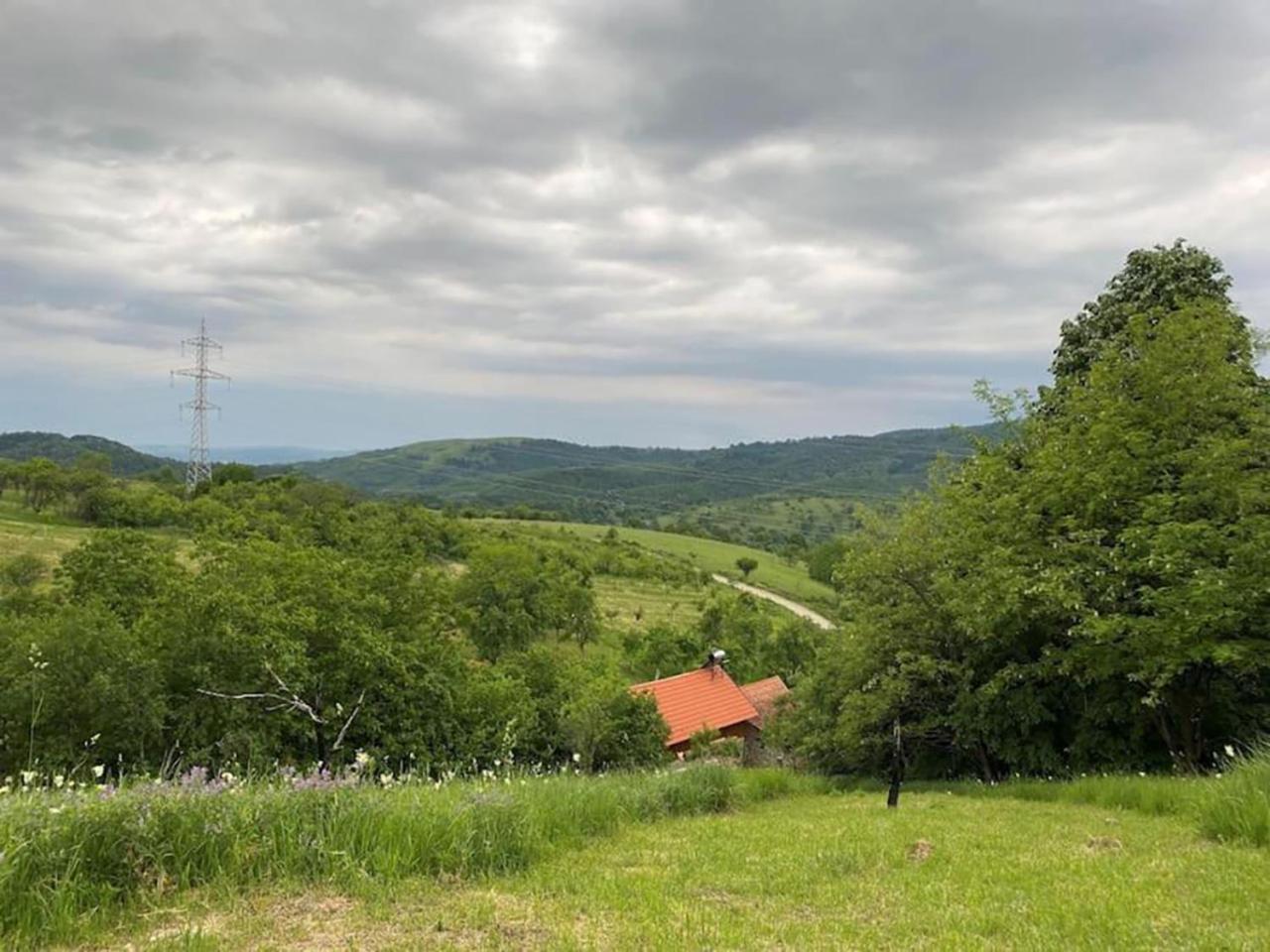 Salas U Bregu In Cheile Carasului Crasova 外观 照片