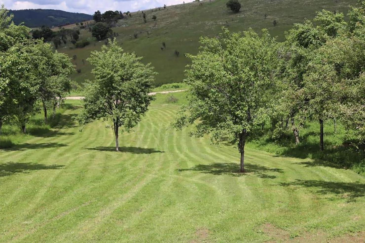 Salas U Bregu In Cheile Carasului Crasova 外观 照片