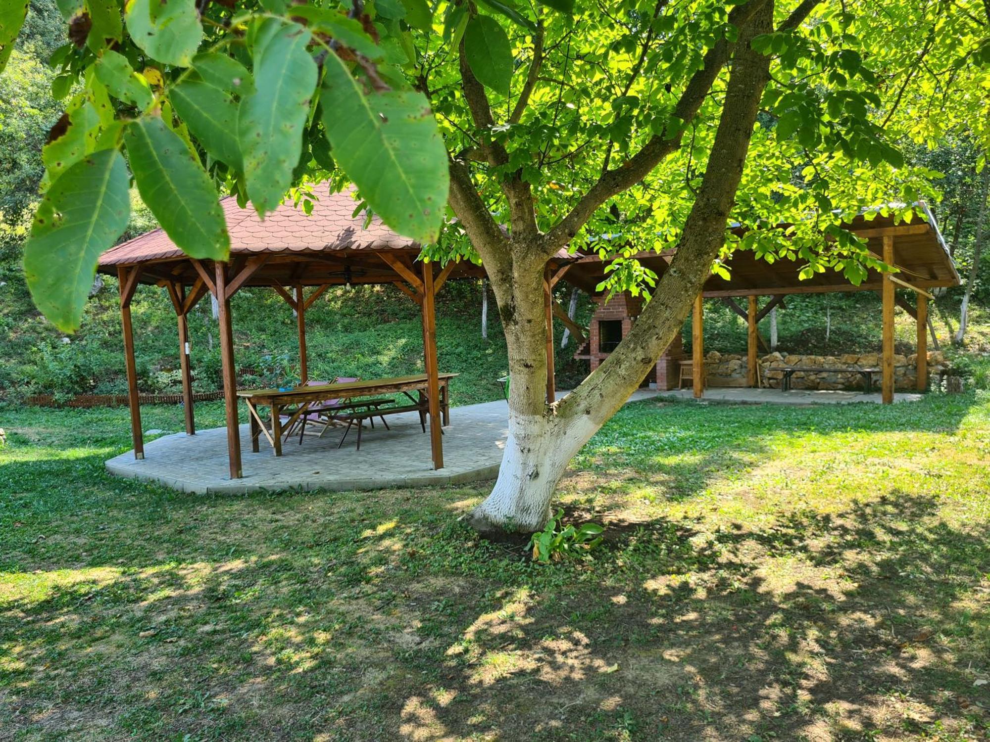 Salas U Bregu In Cheile Carasului Crasova 外观 照片